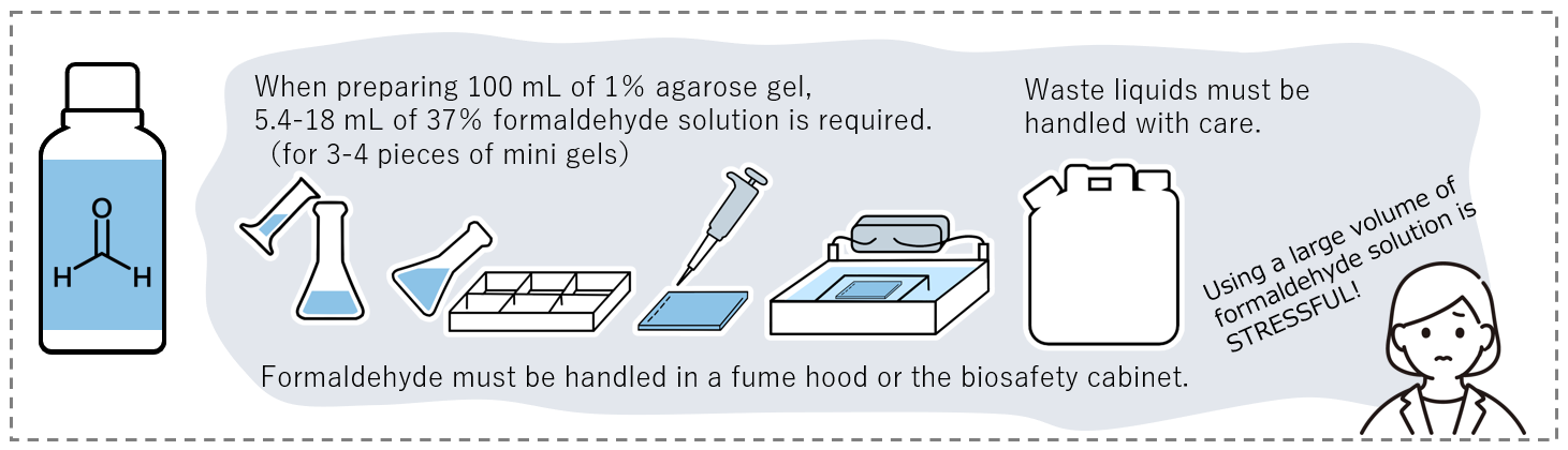 Denaturing Agarose Gel Electrophoresis with Formaldehyde
