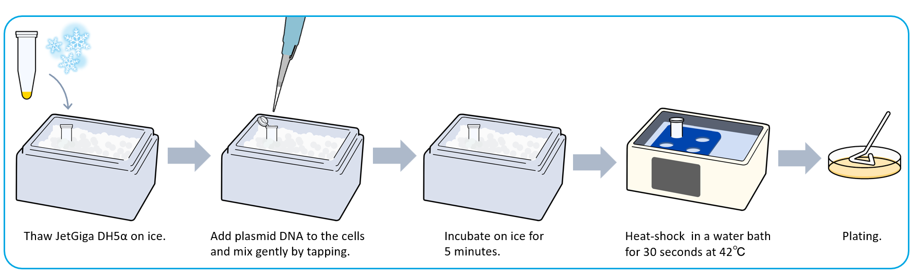 6 minutes Procedure of JetGiga