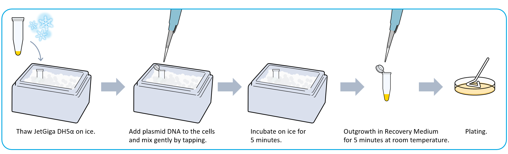 10 minutes Procedure of JetGiga