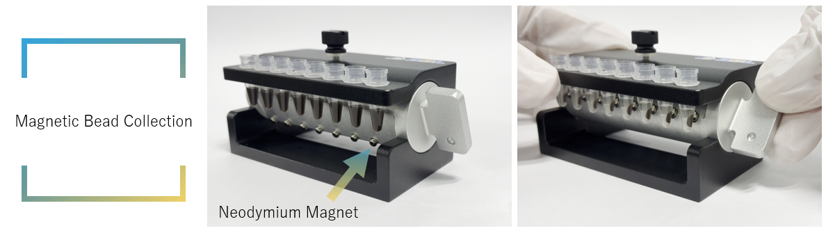 magnet separation using Magtrap-P